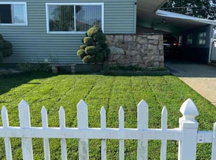 Maurice G.'s lawn care service result
