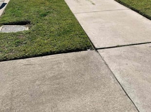 Melanie W.'s turf maintenance service result