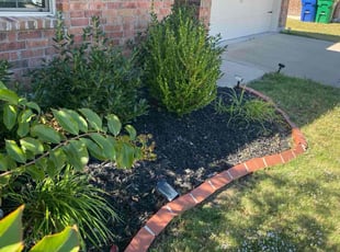 Mark B.'s lawn care service result