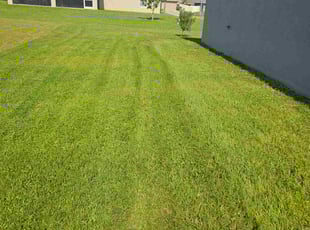 Keith S.'s lawn service service result