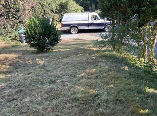 Renan R.'s turf care service result