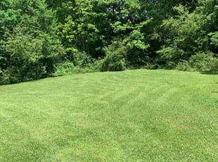 Eric D.'s lawn care service result