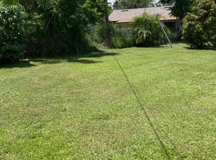 Christopher L.'s turf maintenance service result