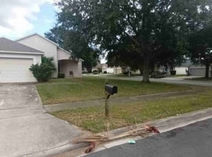 Dina Z.'s lawn care services service result
