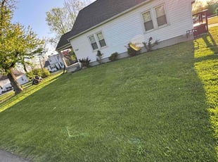 Randy W.'s lawn maintenance service result
