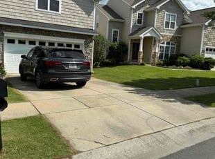 Carlos M.'s lawn care service result