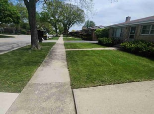 Melanie M.'s grass maintenance service result