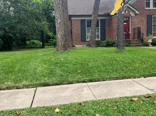 Danika A.'s lawn service service result
