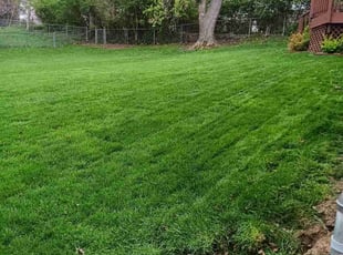 John A.'s lawn service service result