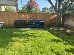 Ryan G.'s grass cutting service result