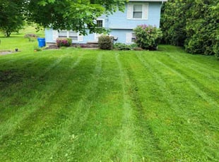Yvonne H.'s grass cutting service result