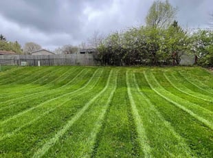 Gregory L.'s grass maintenance service result