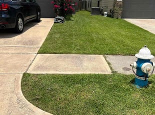 Rhonda S.'s turf maintenance service result