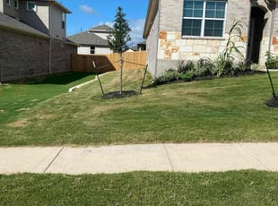 Jaye D.'s lawn maintenance service result