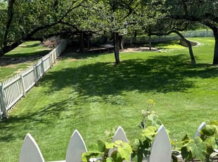 Albert I.'s grass maintenance service result
