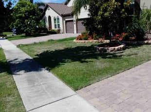 Carmel T.'s yard service service result