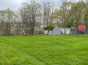 Kathleen R.'s grass cutting service result