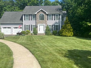 Billy H.'s lawn care service result