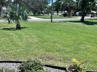 Jasmyn N.'s turf maintenance service result