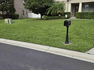 Joel S.'s turf maintenance service result