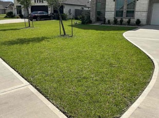 Casey W.'s lawn maintenance service result