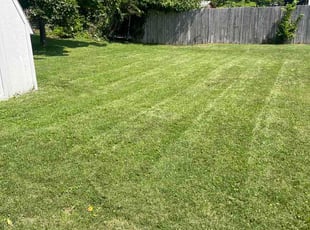 Marcia B.'s lawn care service result