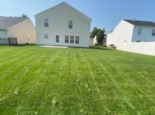 Carlisa H.'s lawn care service result