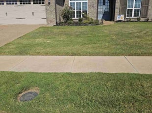 Holly A.'s grass cutting service result