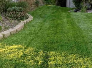 Patricia K.'s turf care service result