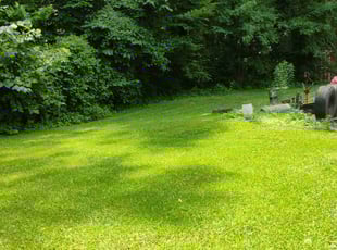 Eric W.'s lawn maintenance service result