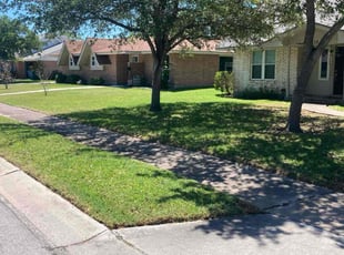 Patricia A.'s turf maintenance service result