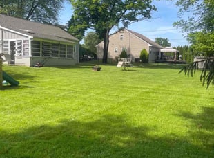 Diane M.'s lawn care service result