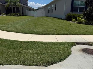 Dustin D.'s lawn service service result
