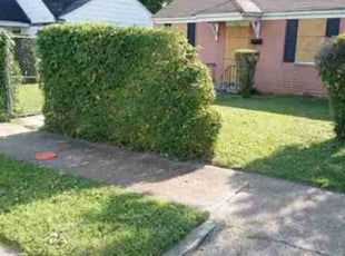 Michelle B.'s grass maintenance service result