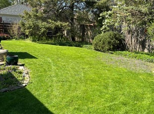 Christopher D.'s lawn care services service result
