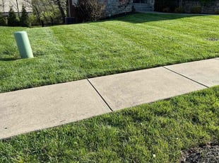 Patricia S.'s lawn care service result
