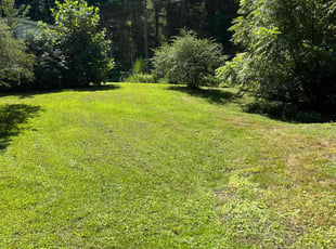 Arlette K.'s turf care service result