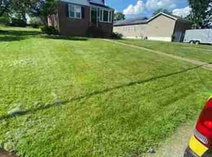 Stephen L.'s grass cutting service result