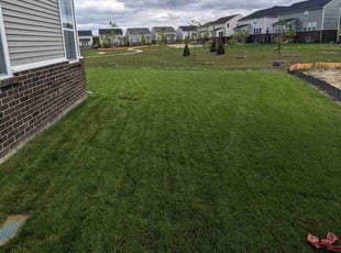 Uday P.'s turf care service result