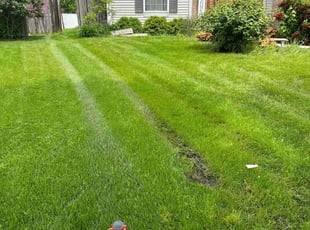 Kevin L.'s lawn care service result