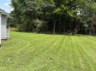 Dandra T.'s lawn care service result