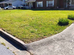 Nosheen H.'s grass cutting service result