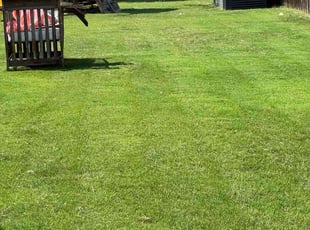 Michael C.'s lawn care service result