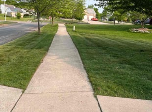 Elisabeth P.'s turf maintenance service result