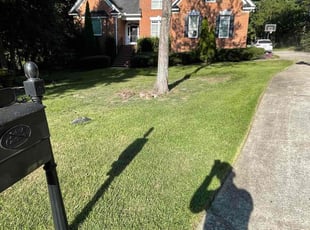 Gordon T.'s turf maintenance service result