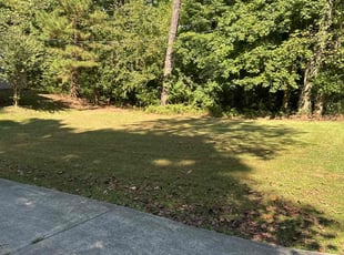 Pat C.'s lawn maintenance service result