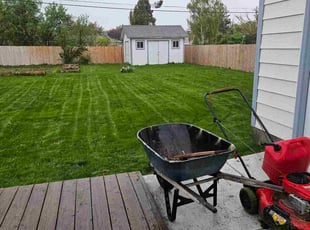 Carmen H.'s lawn care service result