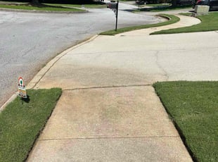 Claudia B.'s grass cutting service result