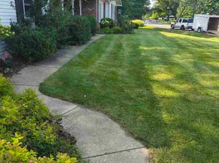 Linda T.'s grass maintenance service result