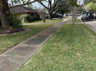 Enzo L.'s lawn maintenance service result